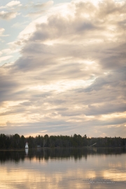 More Landscapes-2