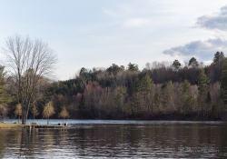 Landscapes-6