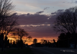 Landscapes-7