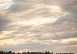 More Landscapes-2