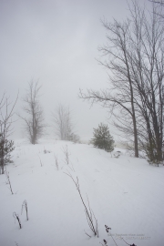 Voigtlander Sample Images-13