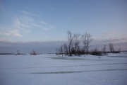 Voigtlander Sample Images-3