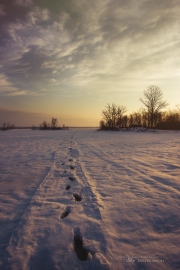 Voigtlander Sample Images-8