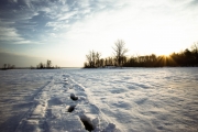 Voigtlander Sample Images-9