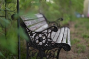 Spring Day Beauty-6