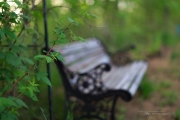 Spring Day Beauty-7