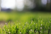 Spring Day Beauty-9
