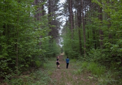 Hiking Samples-5
