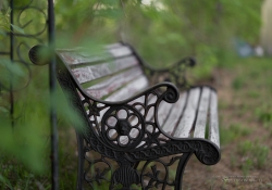 Spring Day Beauty-6
