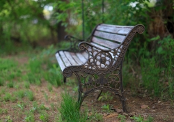 Spring Day Beauty-8