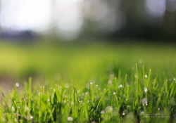 Spring Day Beauty-9