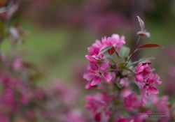 Spring Day Beauty