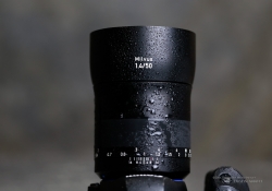 Weather Resistance-2