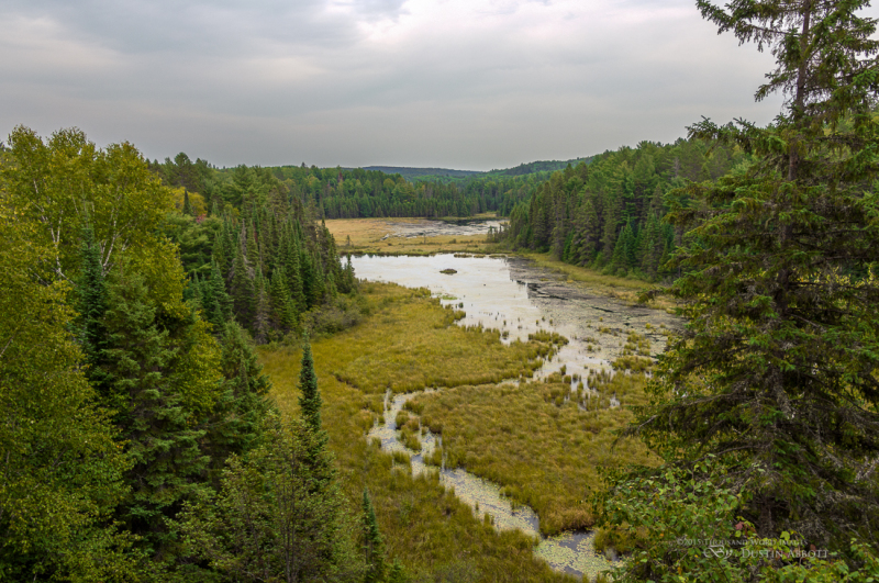 Algonquin Park-18