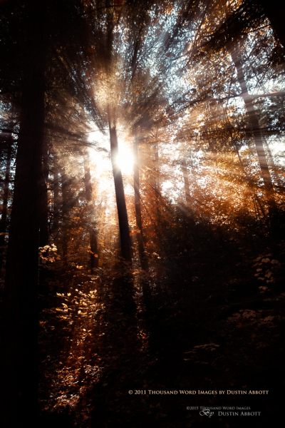 Luminous Layers