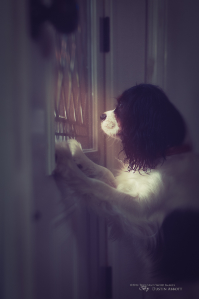 Missing Mommy