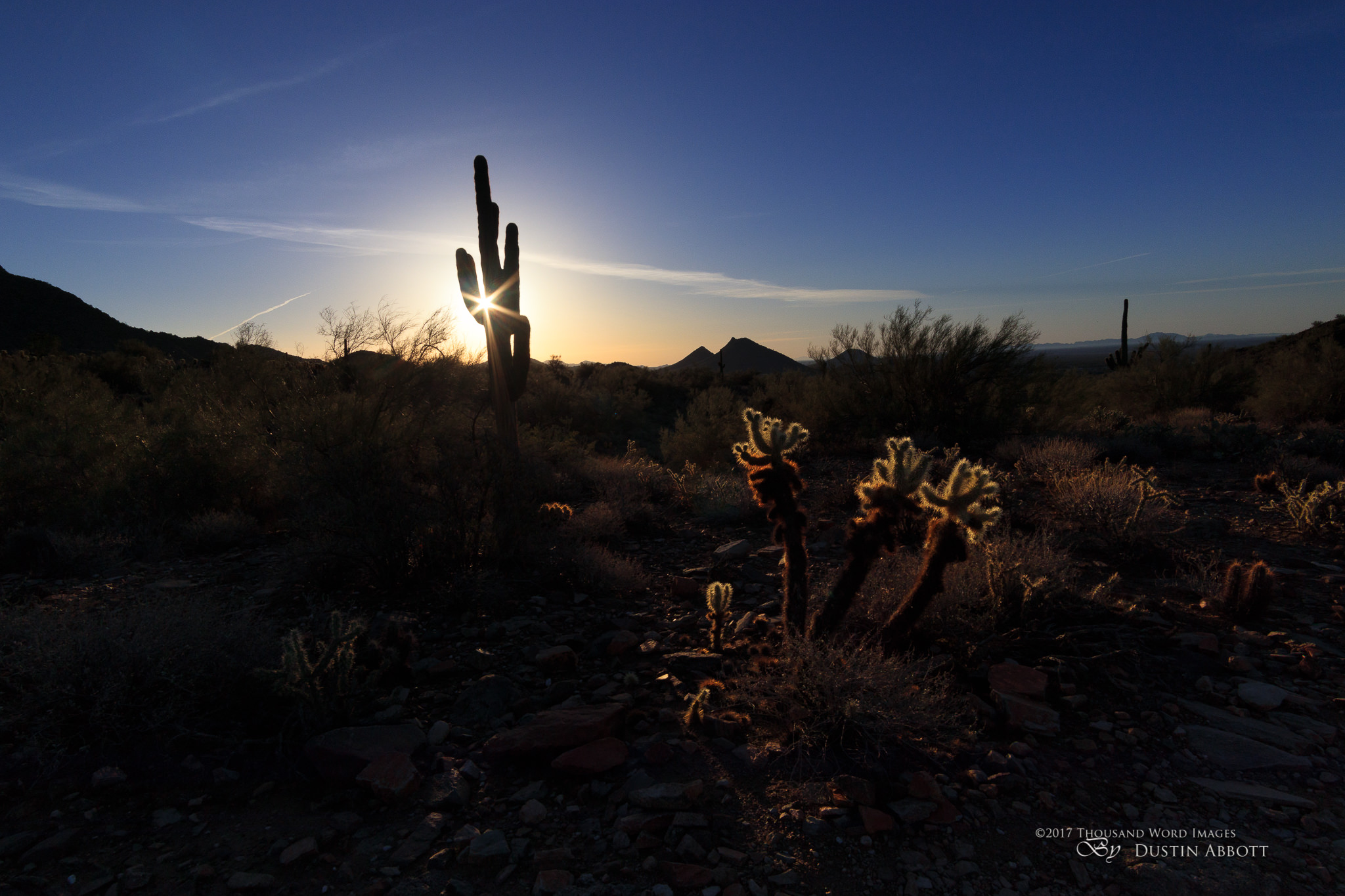Arizona Landscapes-11