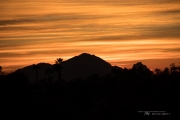 Arizona Landscapes-15