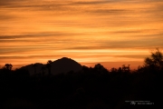 Arizona Landscapes-16