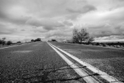 Arizona Landscapes-21
