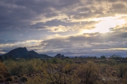 Arizona Landscapes-24