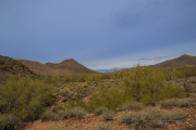 Arizona Landscapes-31