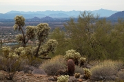 Arizona Landscapes-33
