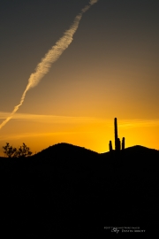 Arizona Landscapes-5