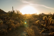 Arizona Landscapes-8
