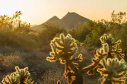 Arizona Landscapes-9