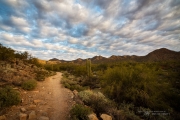 Lost Dog Trail