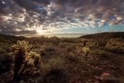 Good Morning, Scottsdale