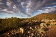 Lead Me to Camelback