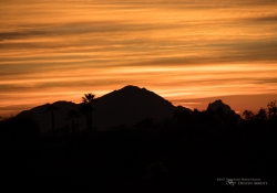 Arizona Landscapes-15