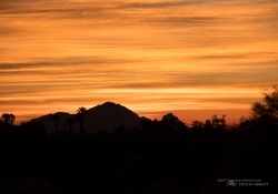 Arizona Landscapes-16