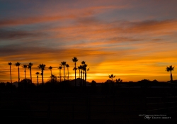 Arizona Landscapes-17