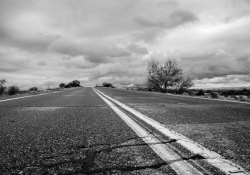 Arizona Landscapes-21