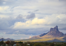 Arizona Landscapes-22
