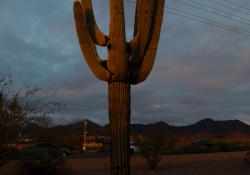 Arizona Landscapes-28