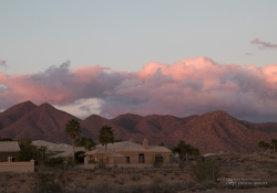 Arizona Landscapes-3