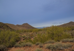 Arizona Landscapes-31