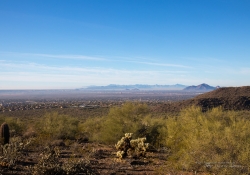 Arizona Landscapes-34