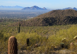 Arizona Landscapes-35