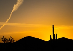 Arizona Landscapes-5