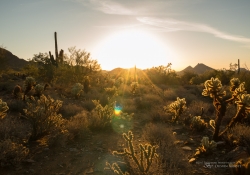 Arizona Landscapes-8