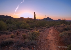 Morning in the McDowells