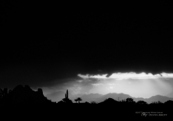 Storm in the Desert