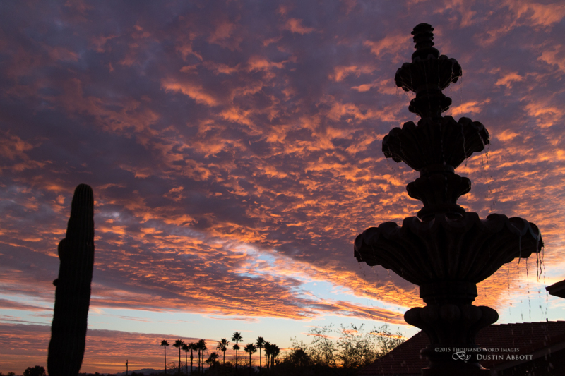 Arizona-36