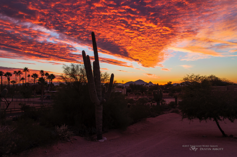 Arizona-37