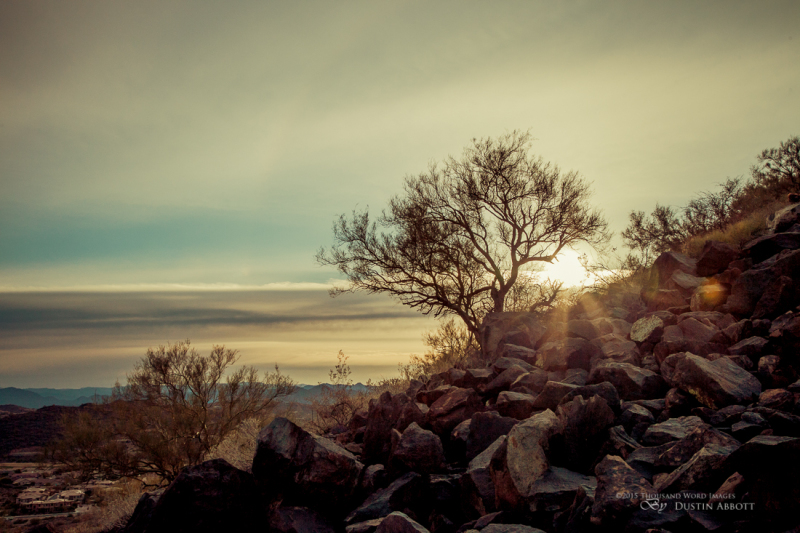 Arizona-6